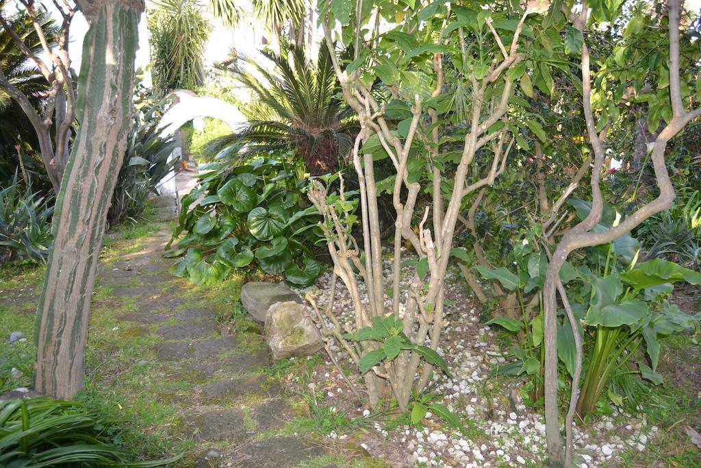 Piccolo Tirreno Hotel Residence Procida Exterior photo