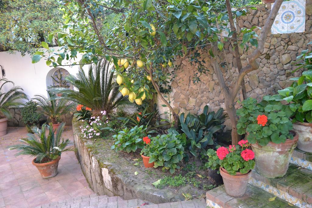 Piccolo Tirreno Hotel Residence Procida Exterior photo