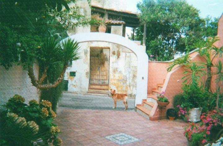 Piccolo Tirreno Hotel Residence Procida Exterior photo